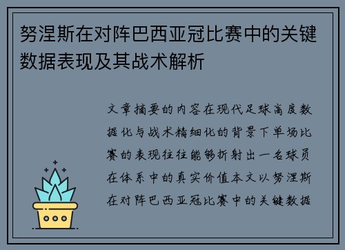 努涅斯在对阵巴西亚冠比赛中的关键数据表现及其战术解析